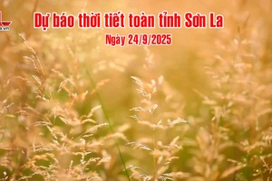 'Dự báo thời tiết toàn tỉnh Sơn La ngày 24/9/2025