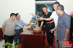 'Tập huấn sinh vật cảnh năm 2025