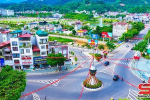 Nơi ươm mầm xanh tươi