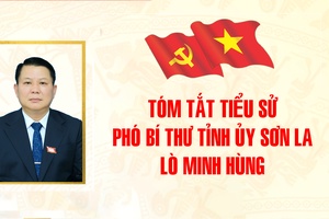 'Tóm tắt tiểu sử Phó Bí thư Tỉnh ủy Lò Minh Hùng