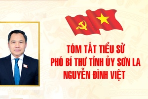 'Tóm tắt tiểu sử Phó Bí thư Tỉnh ủy Nguyễn Đình Việt