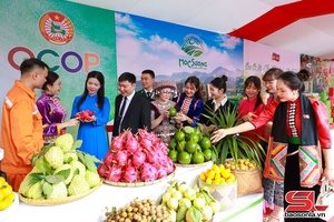 'Không khí sôi động, lan tỏa niềm tin từ các hoạt động bên lề Đại hội đại biểu Đảng bộ tỉnh Sơn La lần thứ XVI