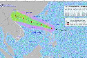 'Bão MATMO ở phía Đông đảo Luzon (Philippines) và di chuyển theo hướng Tây Tây Bắc