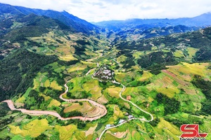 'Tà Chì Nhù - Hơi thở núi rừng và sắc hoa chi pâu