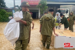 'Công an phường Vân Sơn hỗ trợ nhân dân trong cơn bão số 11