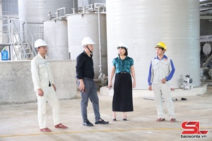 'Nhà máy tinh bột biến tính BHL Sơn La - bước tiến công nghiệp chế biến sâu