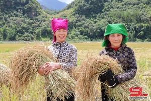 'Mùa vàng Ngọc Chiến