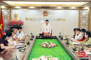 Rà soát tổng hợp nhu cầu xóa nhà tạm, nhà dột nát