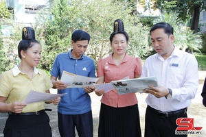 'Trợ giúp pháp lý cho người yếu thế