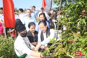 Sôi nổi Ngày hội hái quả cà phê Arabica xã Muổi Nọi lần thứ nhất, năm 2025