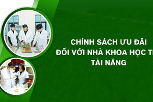 'Chính sách ưu đãi đối với nhà khoa học trẻ tài năng