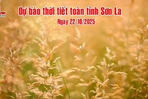 'Dự báo thời tiết toàn tỉnh Sơn La ngày 22/10/2025