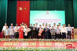'Đẩy mạnh các hoạt động tư vấn, hỗ trợ nông dân phát triển kinh tế