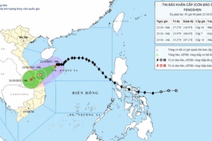 'Bão số 12 cách thành phố Đà Nẵng khoảng 310km