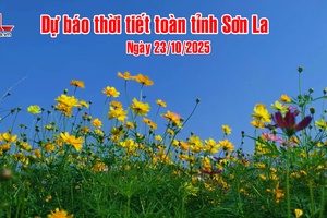 'Dự báo thời tiết toàn tỉnh Sơn La ngày 23/10/2025