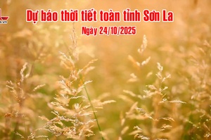 'Dự báo thời tiết toàn tỉnh Sơn La ngày 24/10/2025