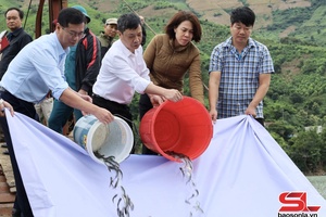 'Thả trên 81 nghìn con cá giống xuống hồ sông Đà