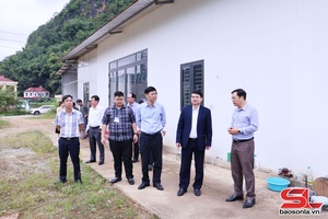 Đồng chí Phó Chủ tịch UBND tỉnh kiểm tra sử dụng tài sản công tại phường Chiềng An
