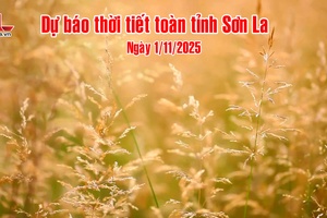 'Dự báo thời tiết toàn tỉnh Sơn La ngày 1/11/2025