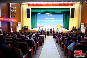 'Tập huấn nghiệp vụ công tác Đội và phong trào thiếu nhi năm học 2025 - 2026