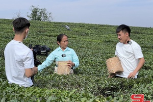 'Quảng bá du lịch thời công nghệ số