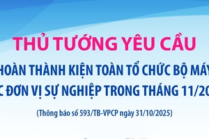 'Thủ tướng yêu cầu hoàn thành kiện toàn tổ chức bộ máy các đơn vị sự nghiệp trong tháng 11/2025
