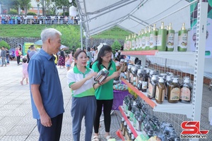 'Hợp tác xã - Hạt nhân tái cơ cấu ngành nông nghiệp