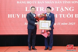 Đảng ủy UBND tỉnh trao tặng Huy hiệu 30 năm tuổi Đảng đợt 7/11