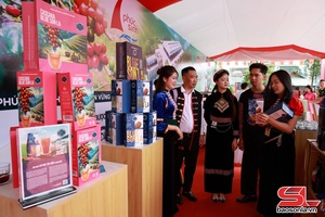 'Trà Cascara – nâng tầm giá trị cà phê Arabica Sơn La