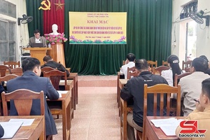'Bồi dưỡng nghiệp vụ công tác Đảng cho cấp ủy viên cơ sở