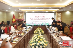 'Thẩm tra các nội dung thuộc lĩnh vực kinh tế - ngân sách và lĩnh vực pháp chế trình Kỳ họp chuyên đề thứ 37 HĐND tỉnh