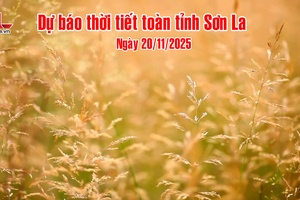 'Dự báo thời tiết toàn tỉnh Sơn La ngày 20/11/2025