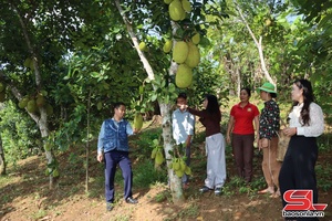 Nâng cao năng lực truyền thông cho cán bộ làm công tác giảm nghèo