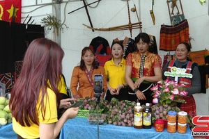 'Hỗ trợ doanh nghiệp, HTX phát triển thương mại điện tử