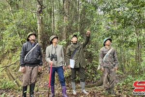 Xây dựng Khu dự trữ sinh quyển Mường La – Tà Xùa 