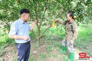 'Giúp nông dân làm giàu và giảm nghèo bền vững