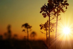 'Truyện ngắn: ÁNH SÁNG GIỮA CUỘC ĐỜI