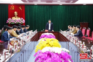 Họp Ban Chỉ đạo công tác bầu cử tỉnh Sơn La