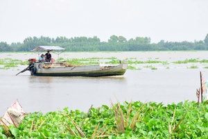 Theo dòng Cái Lớn