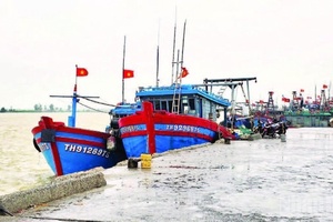 Nỗ lực gỡ “thẻ vàng” IUU: Tăng tốc, đồng bộ và quyết liệt từ Trung ương đến địa phương