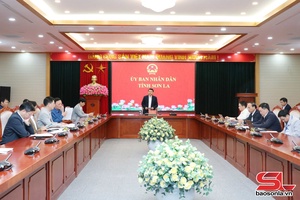 Chuẩn bị các nội dung liên quan đến cuộc làm việc với Bộ Dân tộc và Tôn giáo