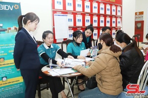 'Hỗ trợ hộ kinh doanh chuyển đổi kê khai thuế