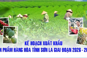 'Kế hoạch xuất khẩu sản phẩm hàng hóa tỉnh Sơn La giai đoạn 2026 - 2030