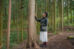 'Khám phá Jeonbuk - “thiên đường” du lịch chăm sóc sức khỏe xứ kim chi