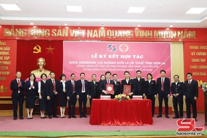 'Hỗ trợ hộ kinh doanh chuyển từ phương pháp thuế khoán sang thuế kê khai
