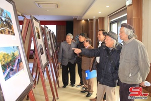 'Bế mạc Trại sáng tác tổng hợp các chuyên ngành văn học – nghệ thuật (lần thứ 2) năm 2025