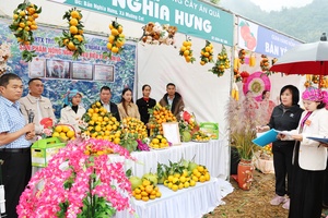'Thi trang trí, trưng bày sản phẩm cây ăn quả có múi xã Mường Cơi năm 2025