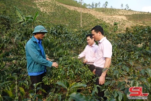 Mở rộng cơ hội sản xuất cho hộ nghèo vùng dân tộc thiểu số