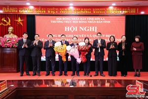 Công bố Nghị quyết và Quyết định của Thường trực HĐND tỉnh và công tác cán bộ