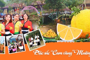 'Đặc sắc "Cam vàng" Mường Cơi
